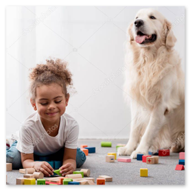 Oyuncakla oynayan yavru köpeğin sevimli pozu