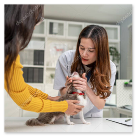Veteriner kontrolünde nazikçe tutulan kedi