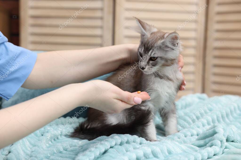 Mama ve veteriner desteği görseli