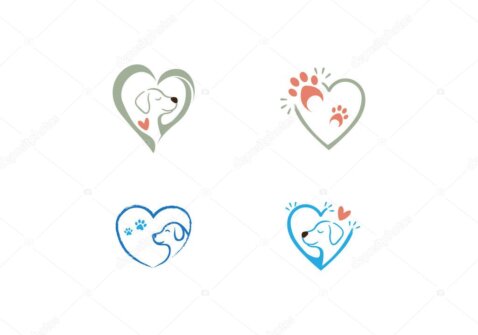 Kedi ve köpeklerin günlük bakımından bir sahne